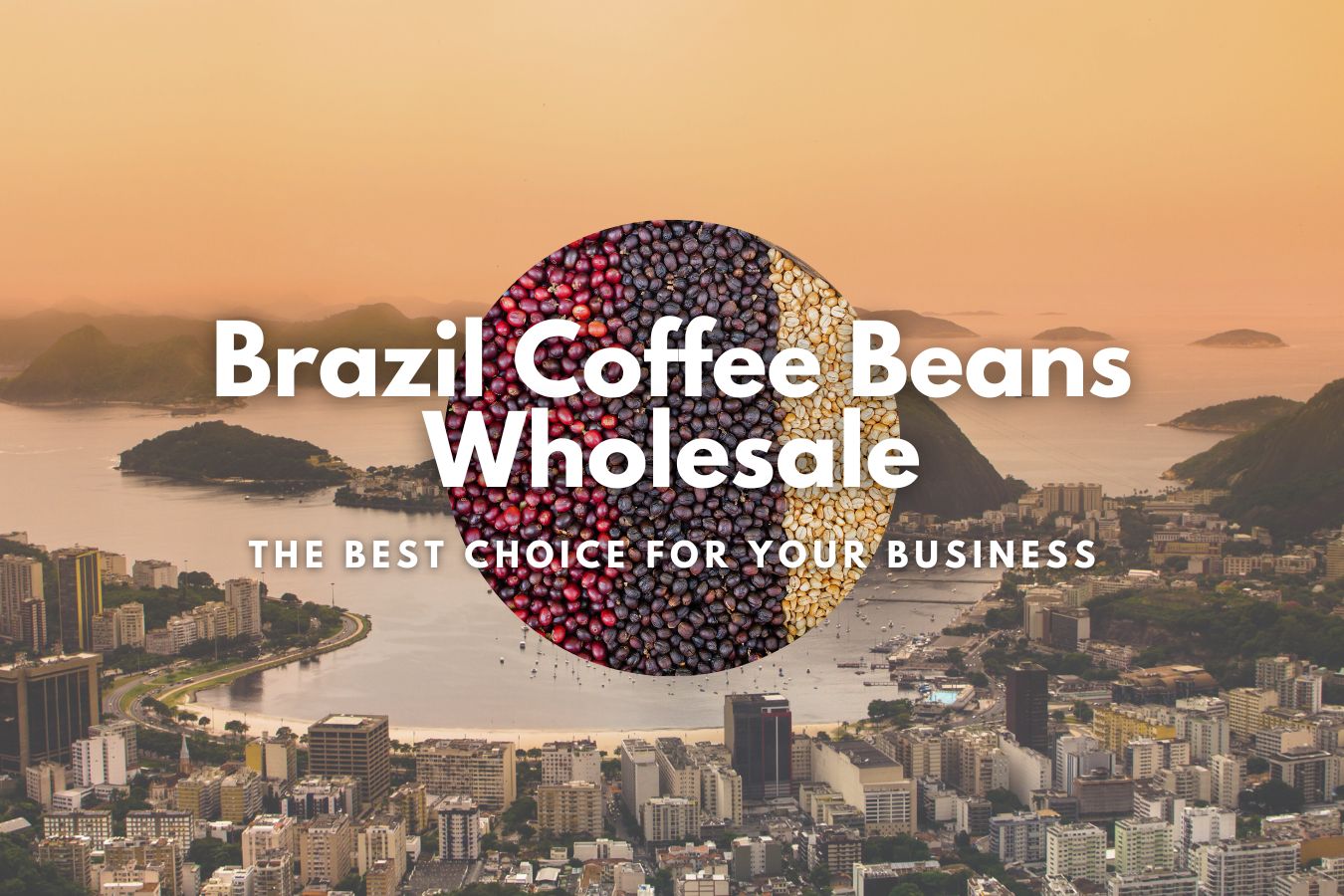Brazil Coffee Beans Wholesale: The Best Choice for Your Business