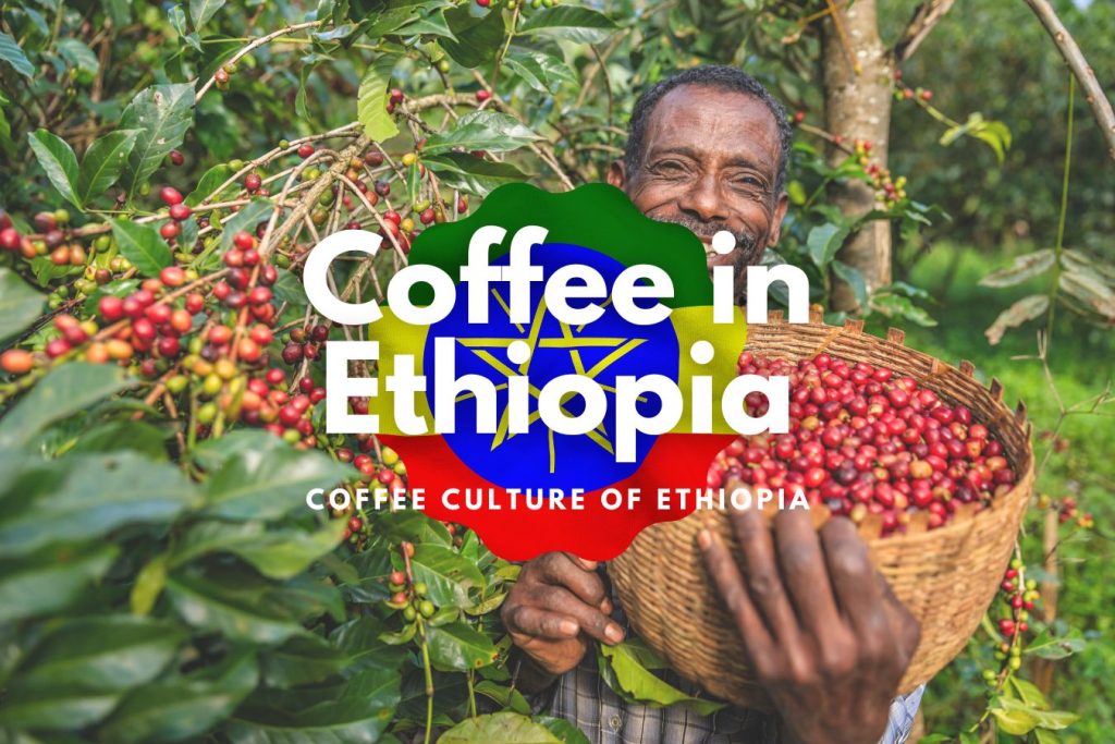 coffee-in-ethiopia-unveiling-the-rich-and-aromatic-coffee-culture-of-ethiopia