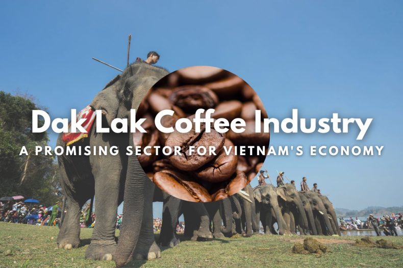 Dak Lak Coffee Industry A Promising Sector for Vietnam's Economy