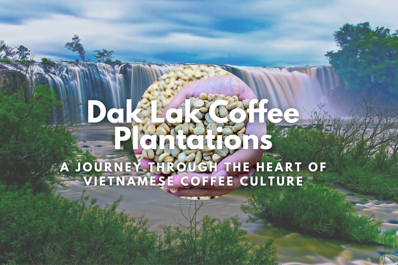 Dak Lak Coffee Plantations A Journey Through the Heart of Vietnamese Coffee Culture