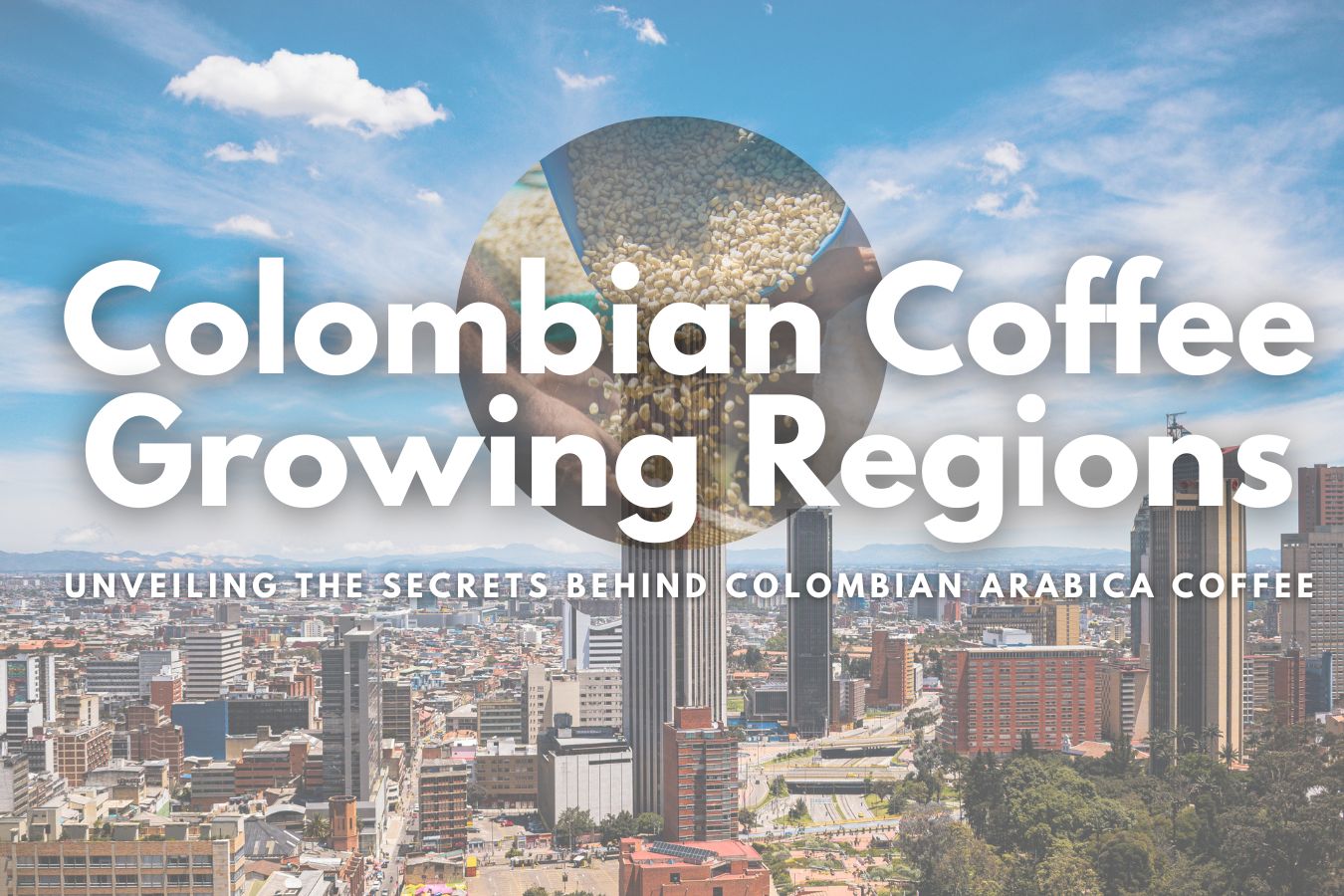 Discovering the Richness of Colombian Coffee Growing Regions Unveiling the Secrets Behind Colombian Arabica Coffee