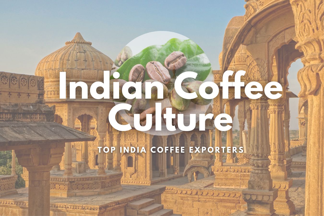 Discovering the Richness of Indian Coffee Culture and the Top India Coffee Exporters