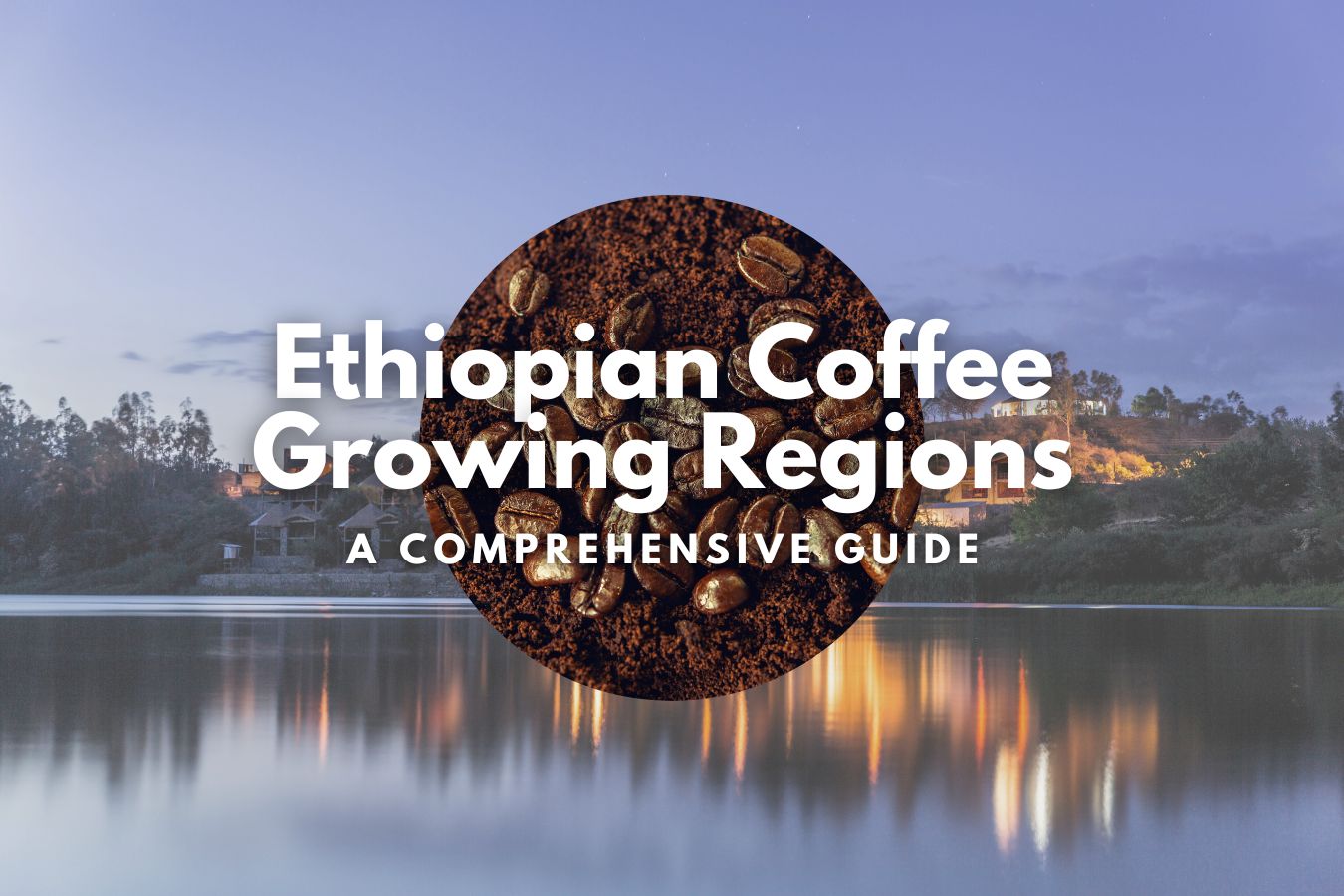 Ethiopian Coffee Growing Regions A Comprehensive Guide