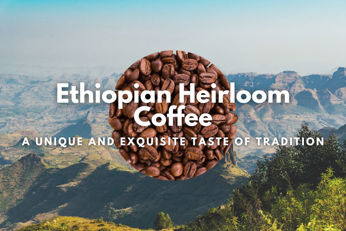 Ethiopian Heirloom Coffee A Unique and Exquisite Taste of Tradition