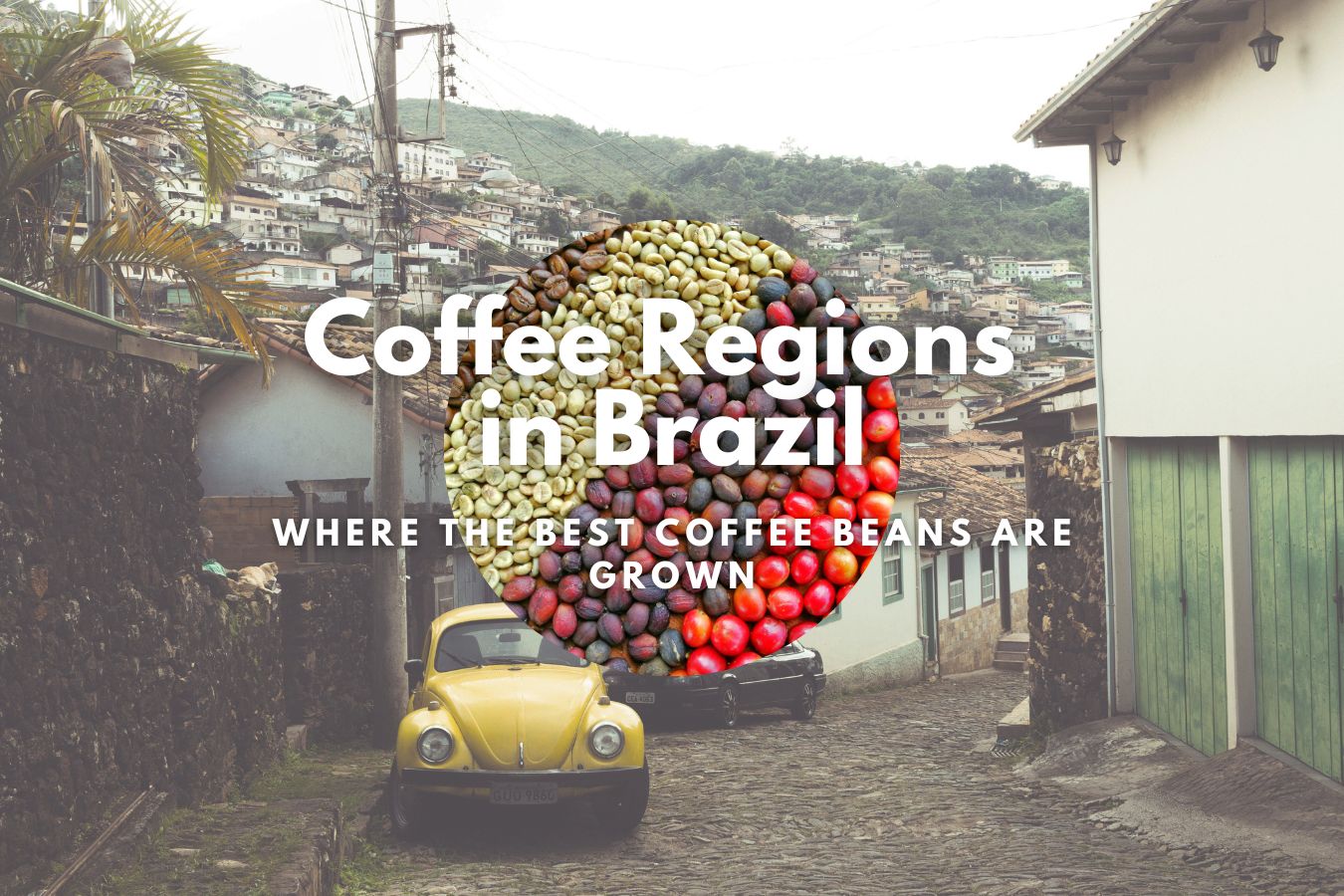 Exploring the Coffee Regions in Brazil Where the Best Coffee Beans are Grown