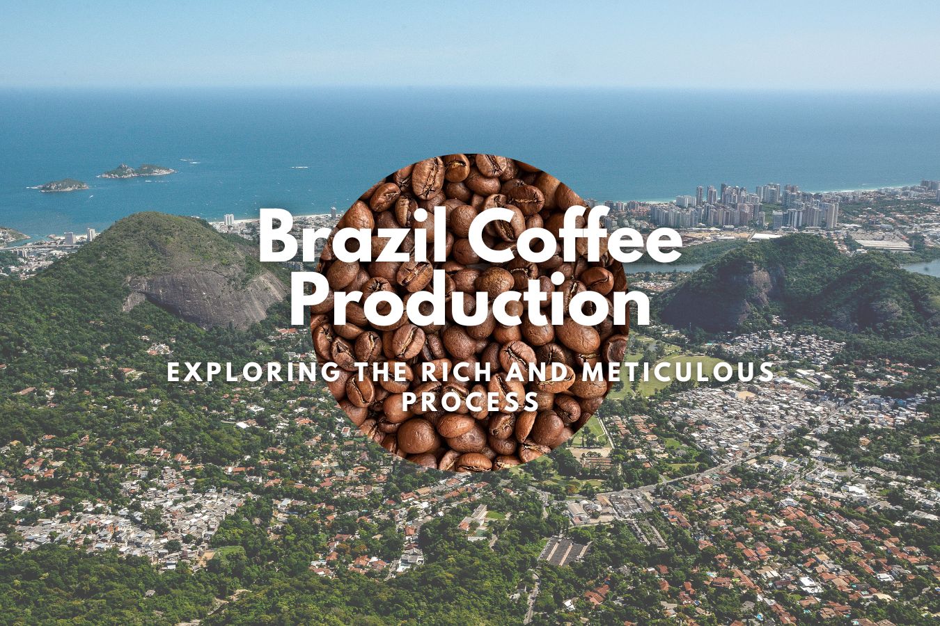 Exploring the Rich and Meticulous Process of Brazil Coffee Production