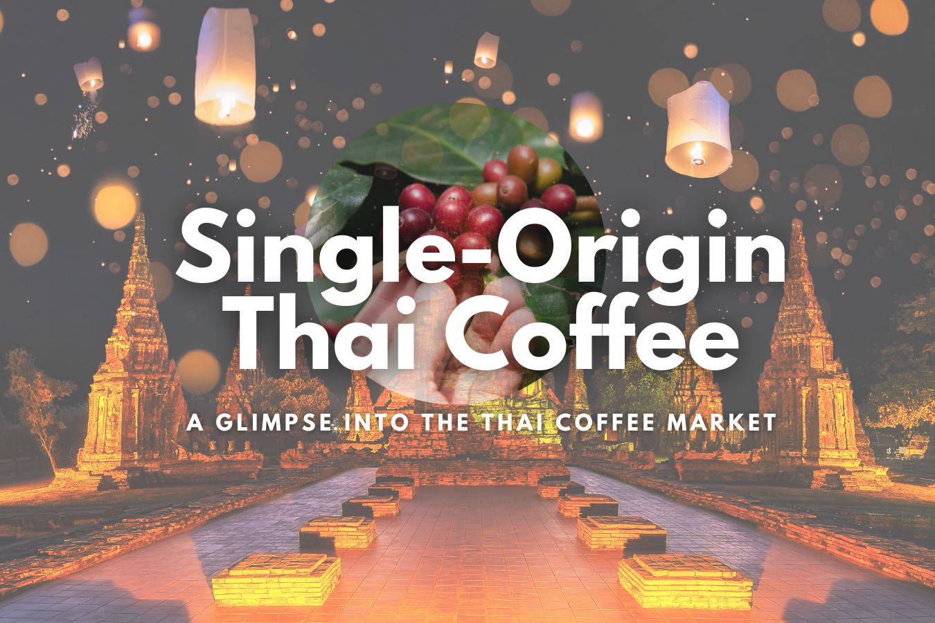 Exploring the Single-Origin Thai Coffee A Glimpse into the Thai Coffee Market