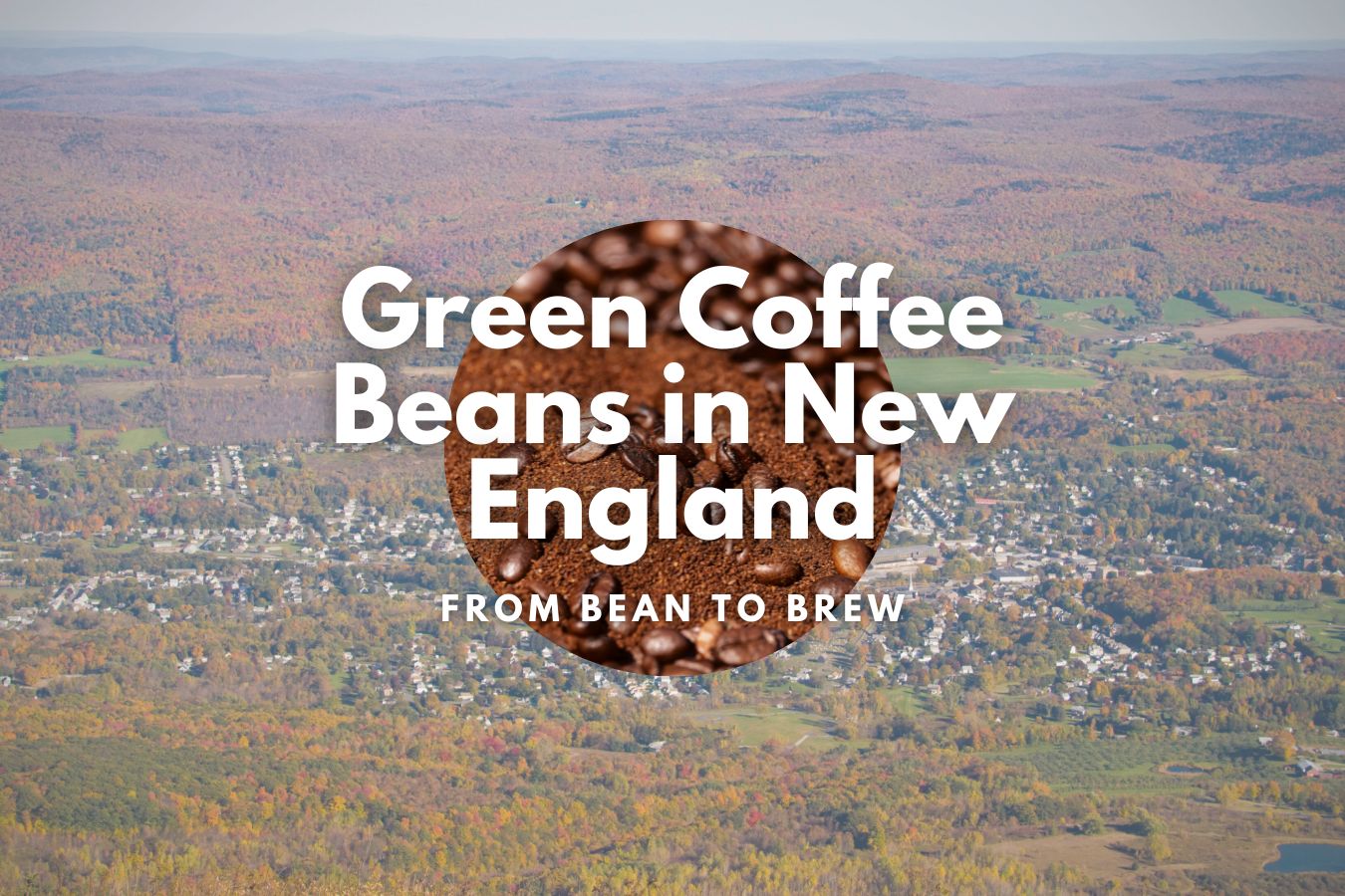 From Bean to Brew Uncovering the Best Green Coffee Beans in New England