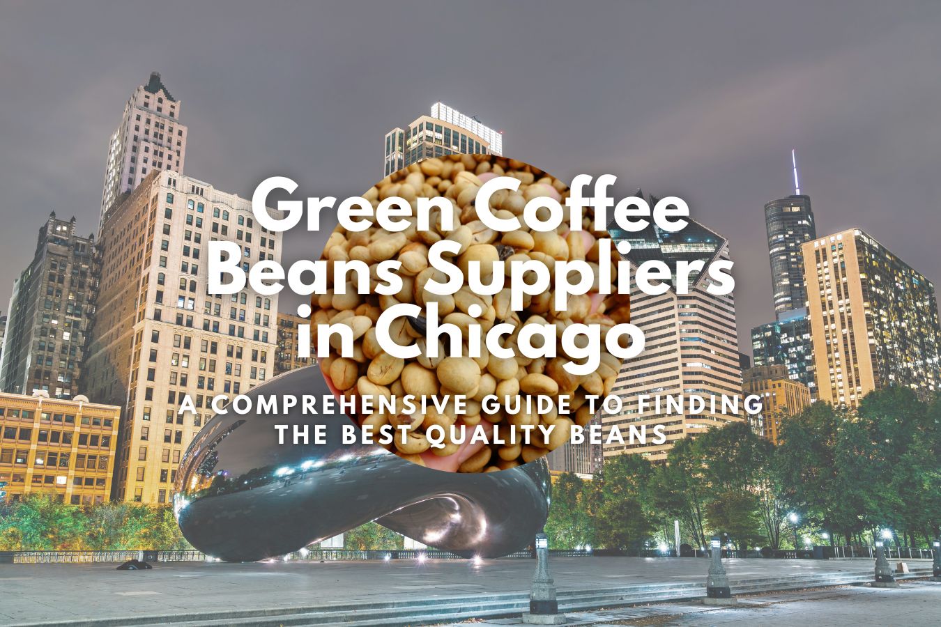Green Coffee Beans Suppliers in Chicago A Comprehensive Guide to Finding the Best Quality Beans