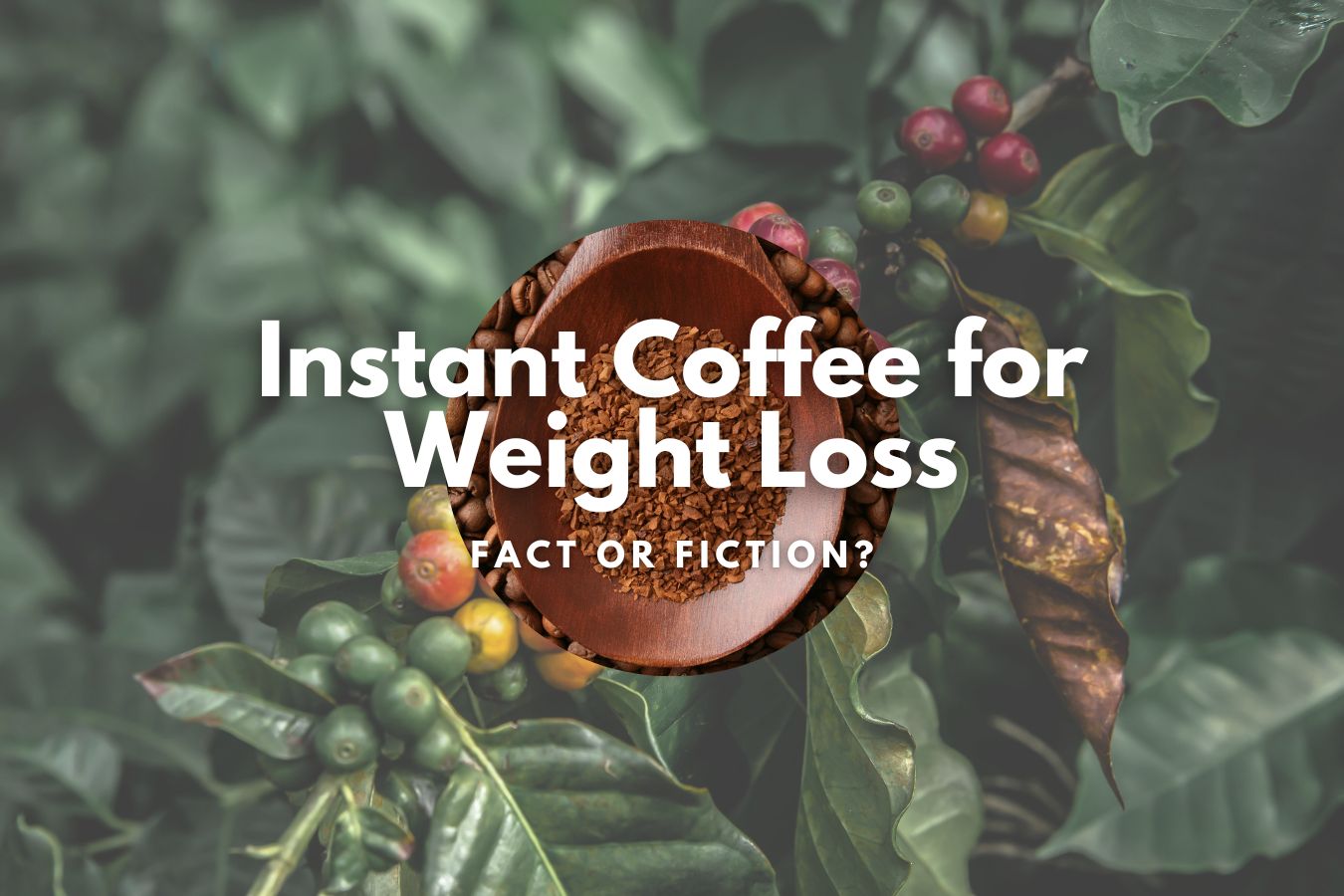 Instant Coffee for Weight Loss Fact or Fiction