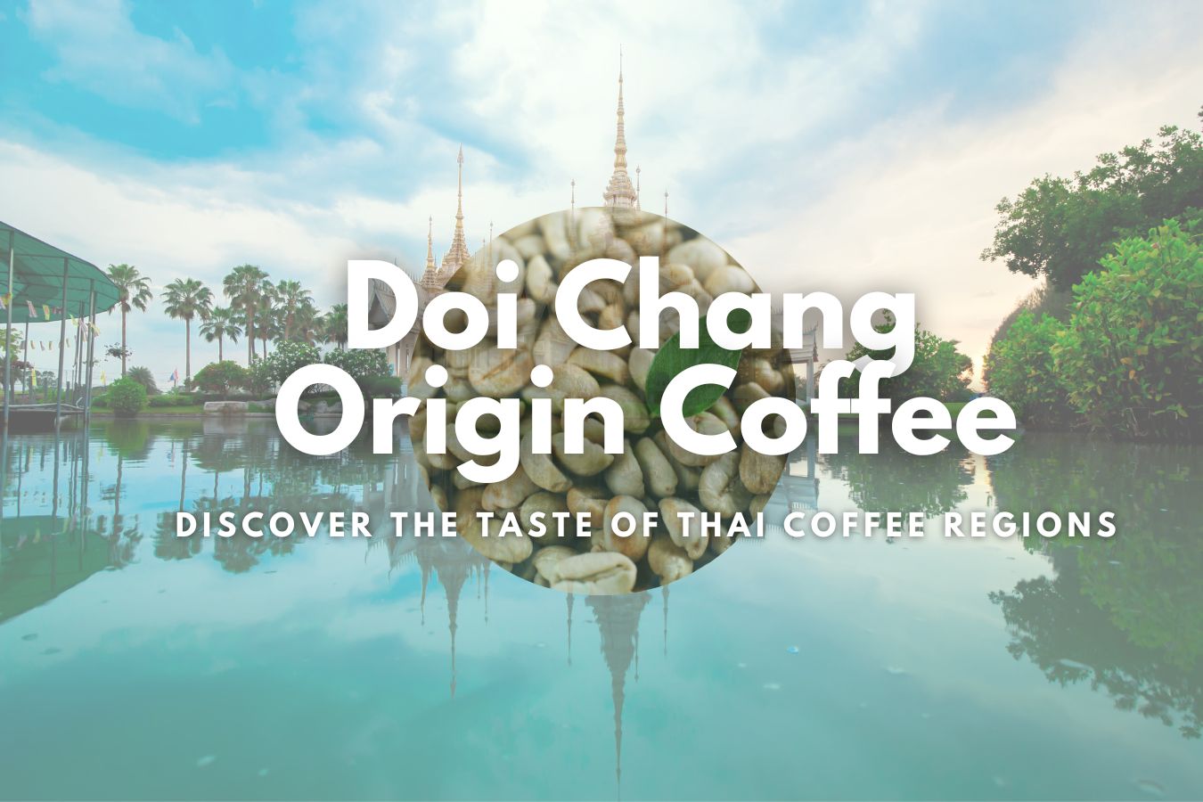 Journey to the Doi Chang Origin Coffee Discover the taste of Thai Coffee Regions