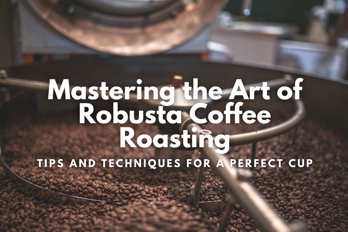 Mastering the Art of Robusta Coffee Roasting Tips and Techniques for a Perfect Cup