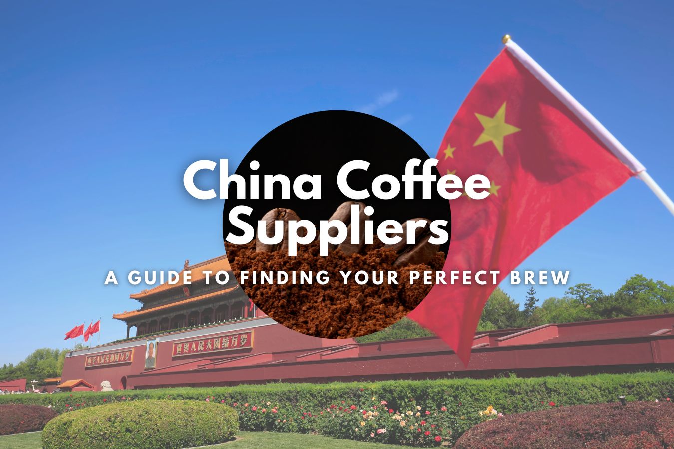 Navigating the World of China Coffee Suppliers A Guide to Finding Your Perfect Brew