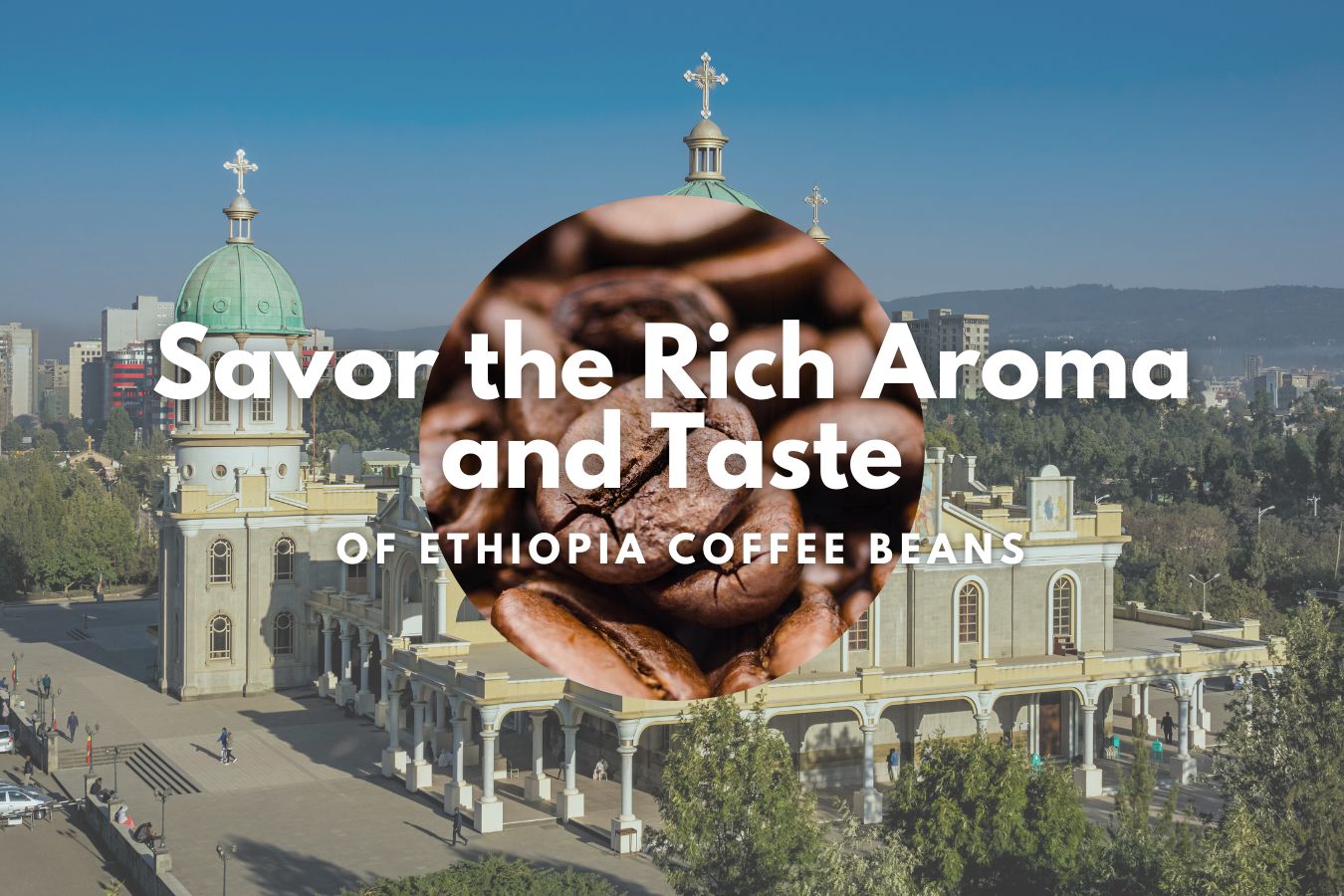 Savor the Rich Aroma and Taste of Ethiopia Coffee Beans