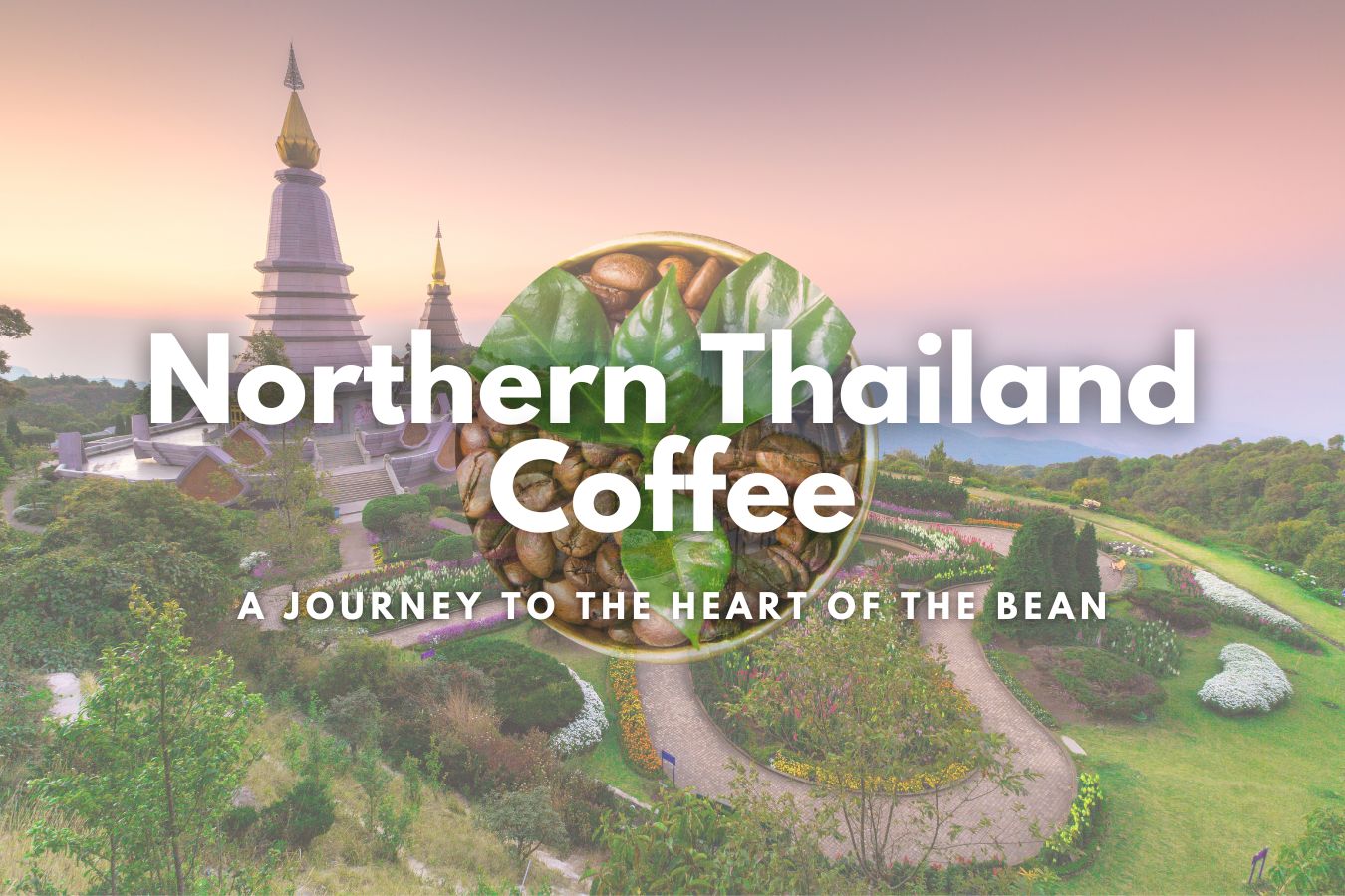 Savor the Unique Taste of Northern Thailand Coffee A Journey to the Heart of the Bean