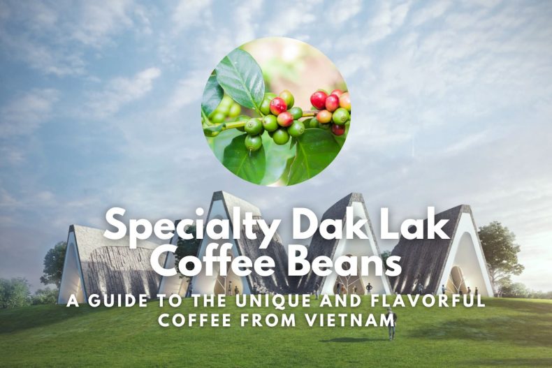 Specialty Dak Lak Coffee Beans A Guide to the Unique and Flavorful Coffee from Vietnam