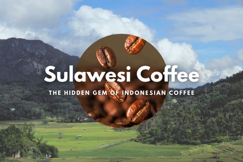 Sulawesi Coffee The Hidden Gem of Indonesian Coffee