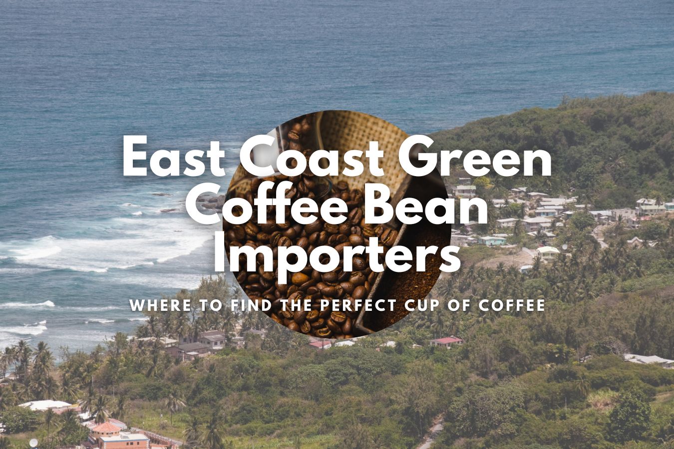 The Best East Coast Green Coffee Bean Importers: Where to Find the Perfect Cup of Coffee