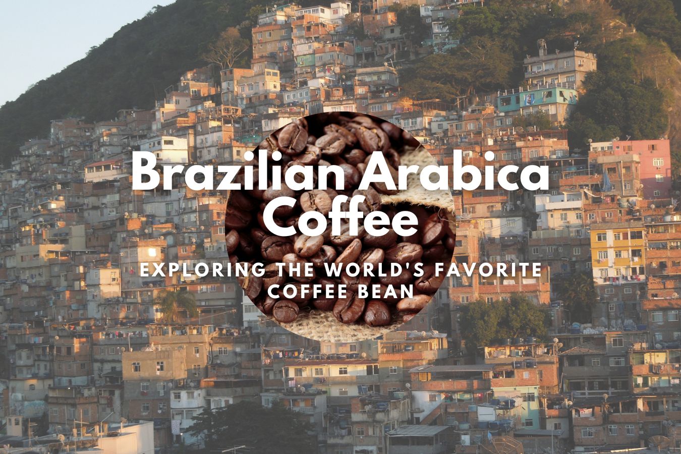 The Rich and Diverse Flavors of Brazilian Arabica Coffee: Exploring the World's Favorite Coffee Bean