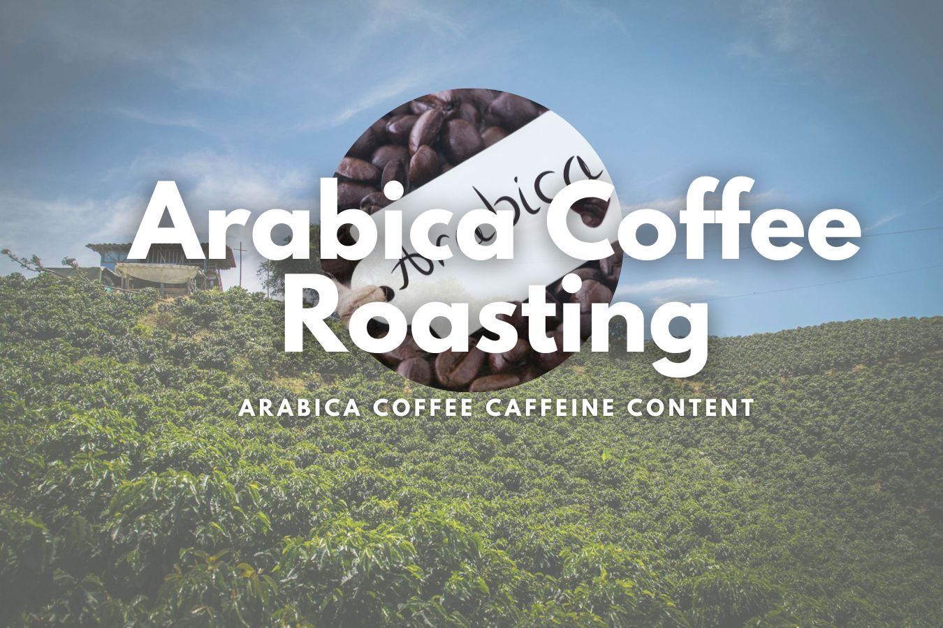 The Secret to Perfect Arabica Coffee Roasting and Understanding Arabica Coffee Caffeine Content