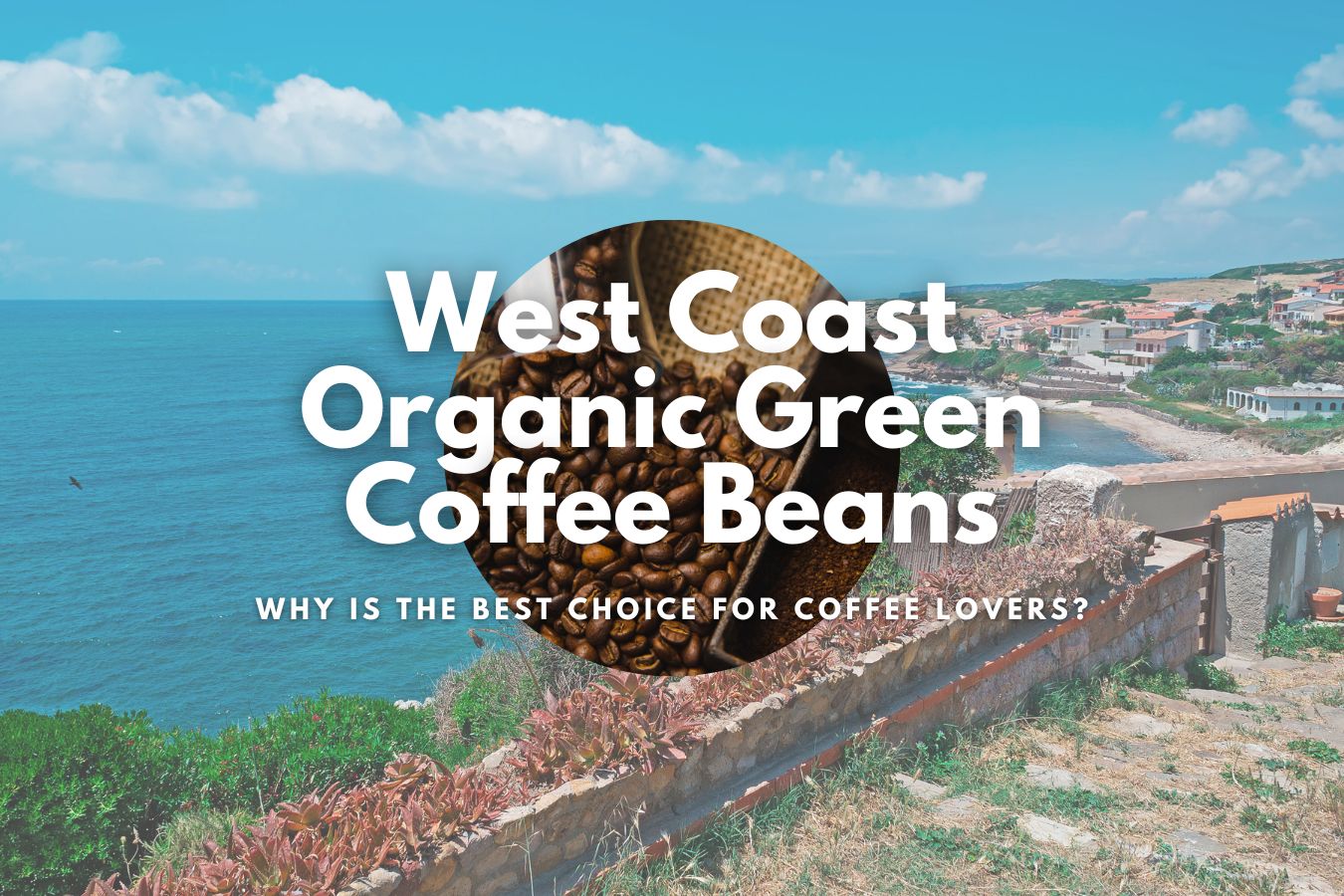 Why West Coast Organic Green Coffee Beans are the Best Choice for Coffee Lovers?