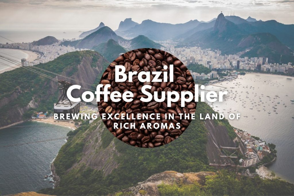 Brazil Coffee Supplier Brewing Excellence in the Land of Rich Aromas