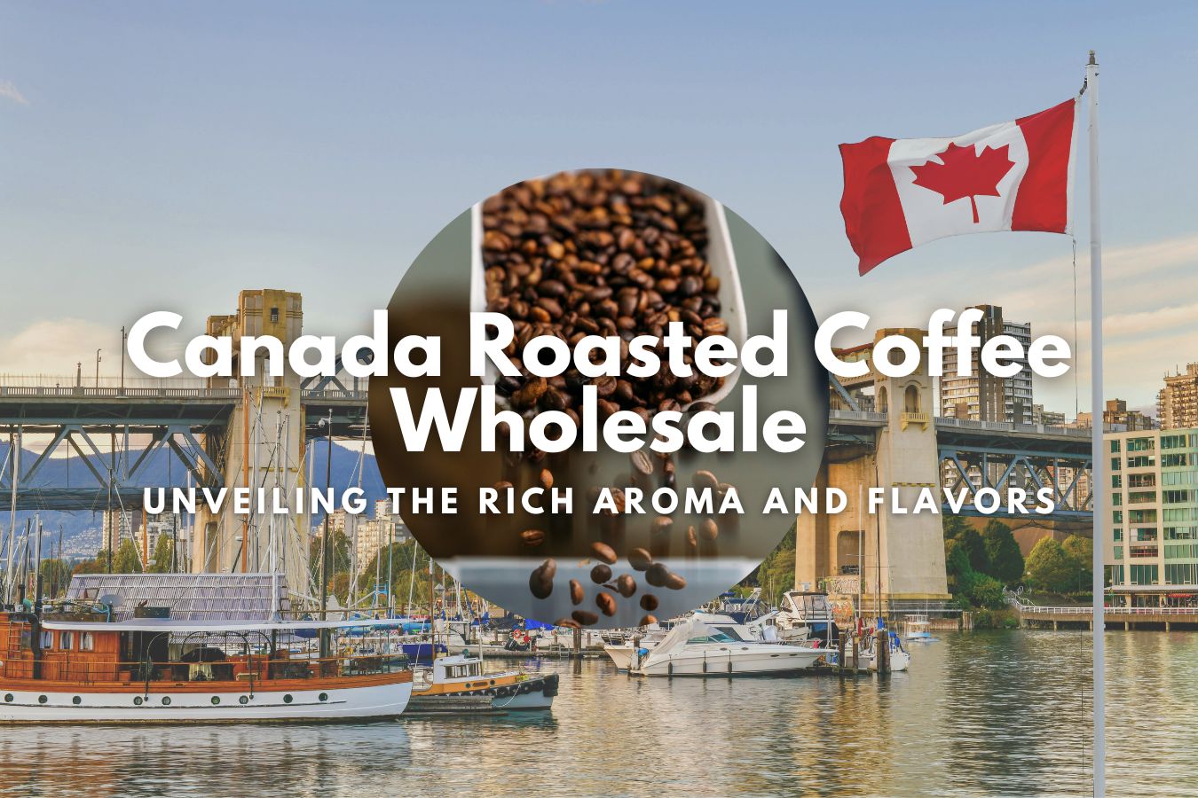 Canada Roasted Coffee Wholesale Unveiling the Rich Aroma and Flavors