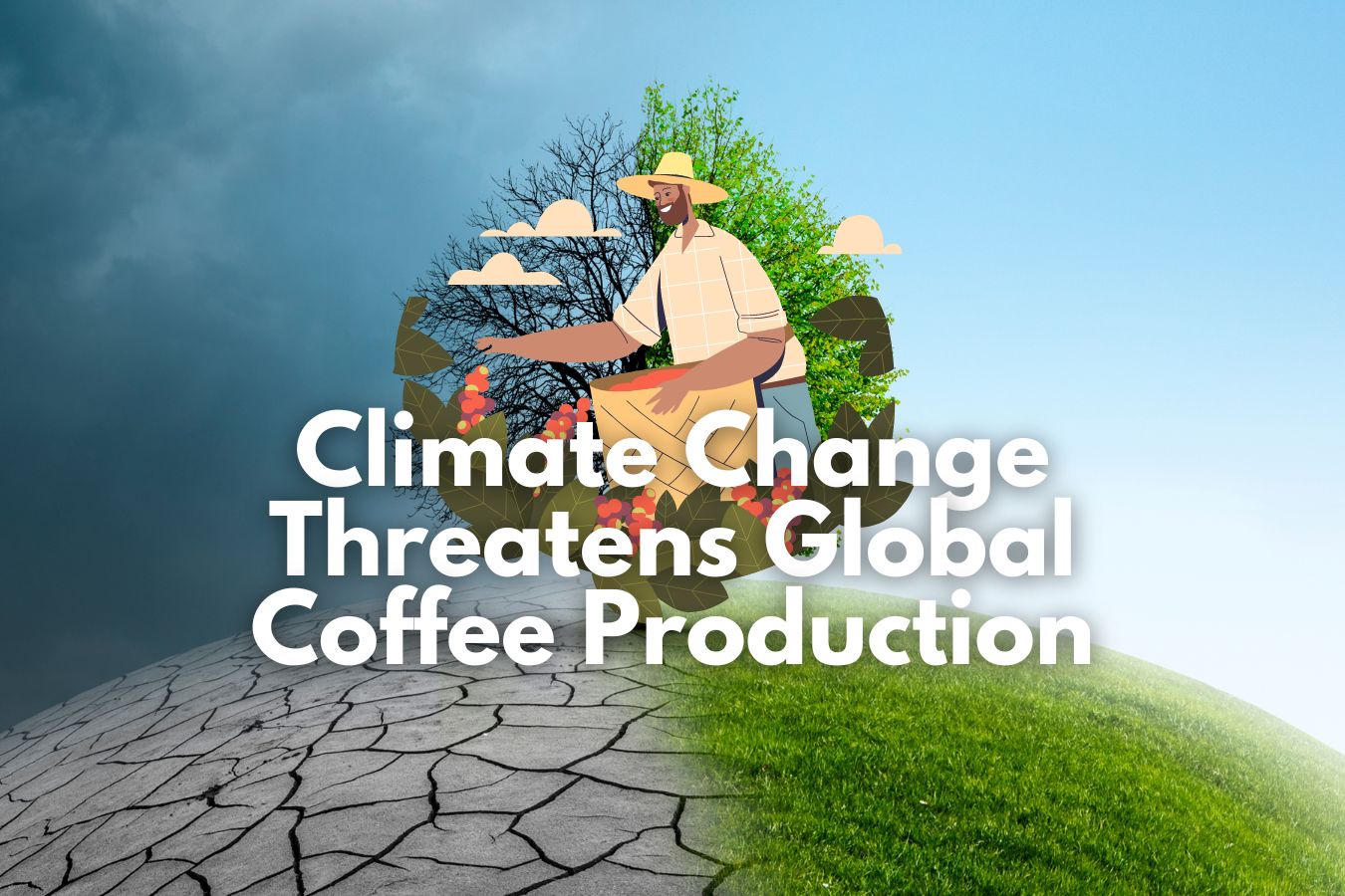 Climate Change Threatens Global Coffee Production