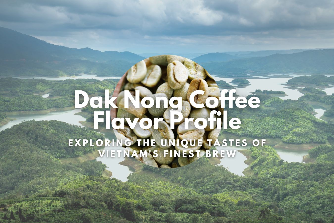 Dak Nong Coffee Flavor Profile Exploring the Unique Tastes of Vietnam's Finest Brew