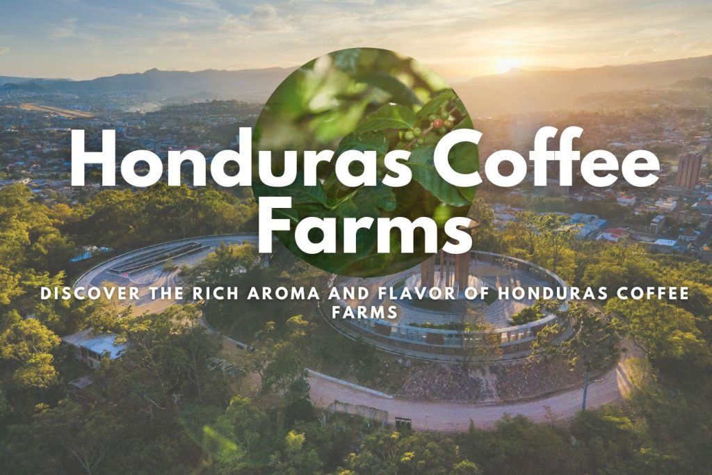 Discover the Rich Aroma and Flavor of Honduras Coffee Farms