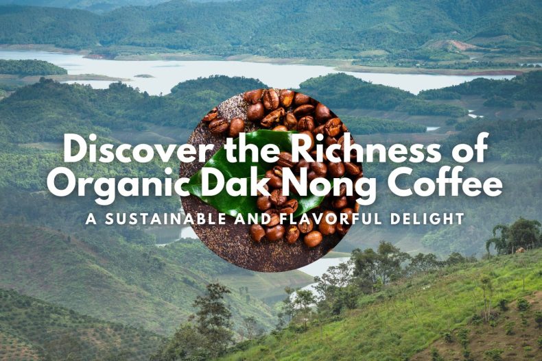 Discover the Richness of Organic Dak Nong Coffee A Sustainable and Flavorful Delight