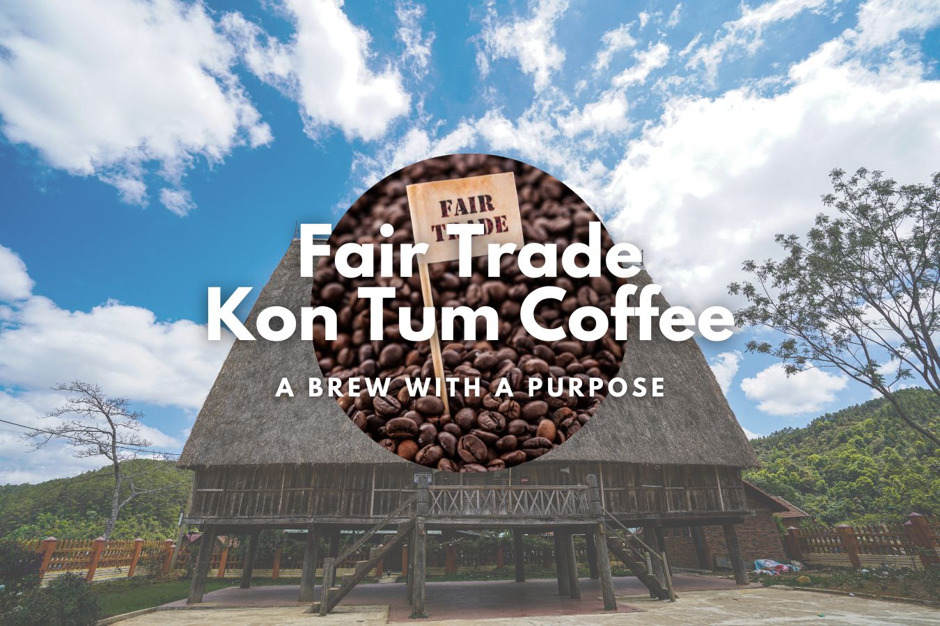 Fair Trade Kon Tum Coffee: A Brew with a Purpose