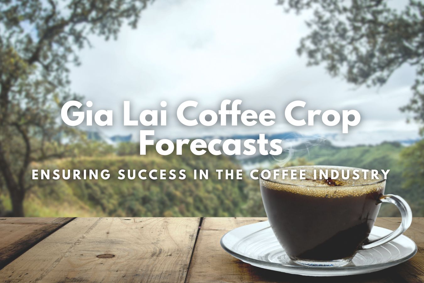 Gia Lai Coffee Crop Forecasts Ensuring Success in the Coffee Industry