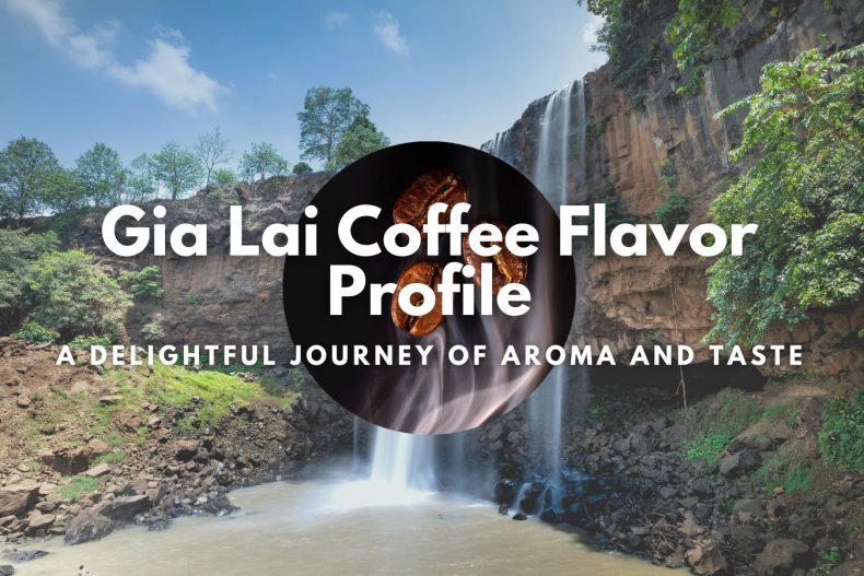Gia Lai Coffee Flavor Profile A Delightful Journey of Aroma and Taste