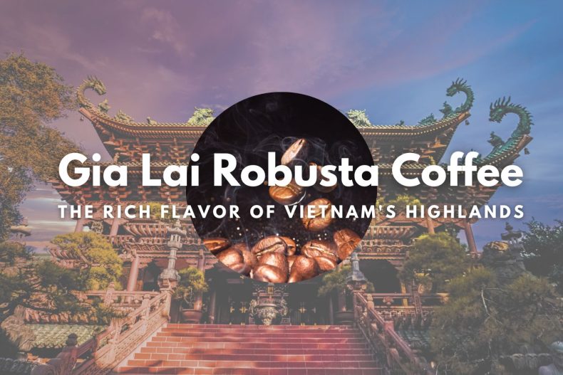 Gia Lai Robusta Coffee – The Rich Flavor of Vietnam's Highlands