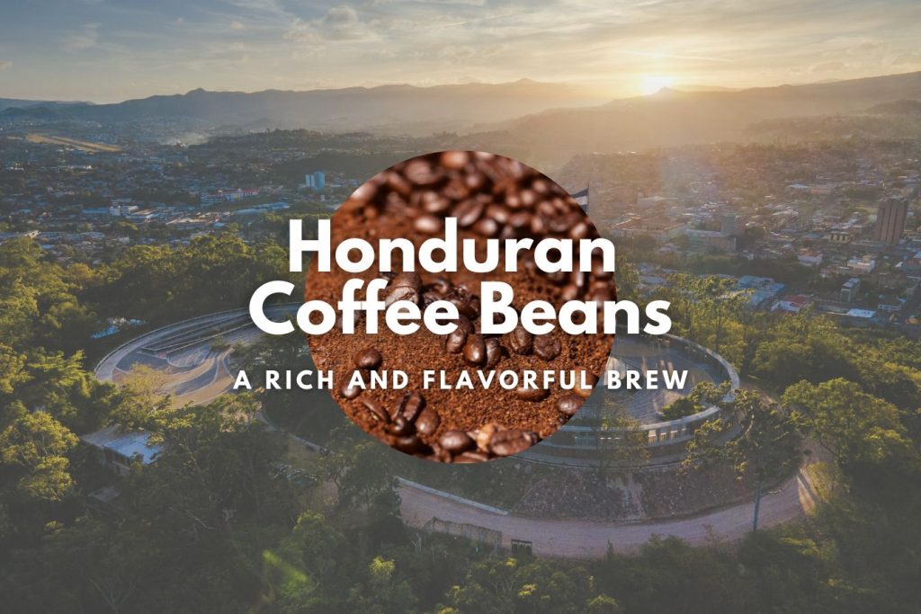 Honduran Coffee Beans: A Rich and Flavorful Brew