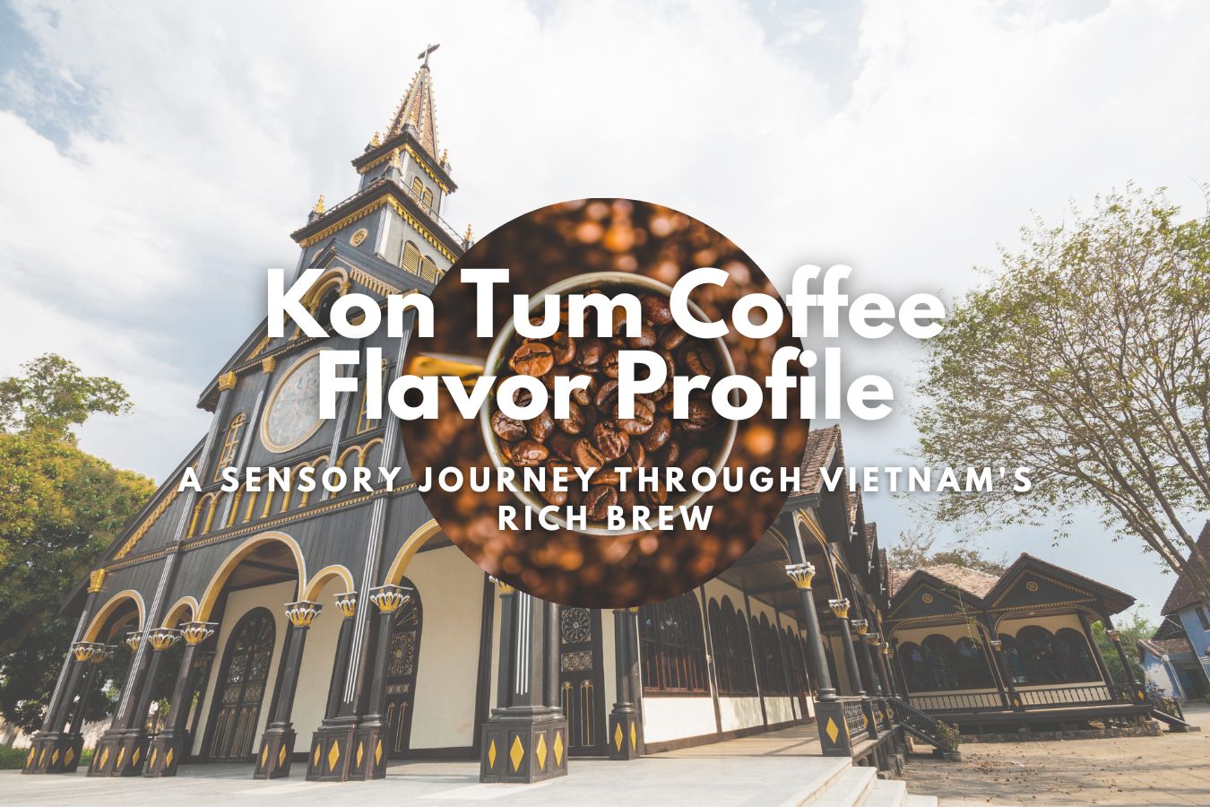 Kon Tum Coffee Flavor Profile A Sensory Journey Through Vietnam's Rich Brew