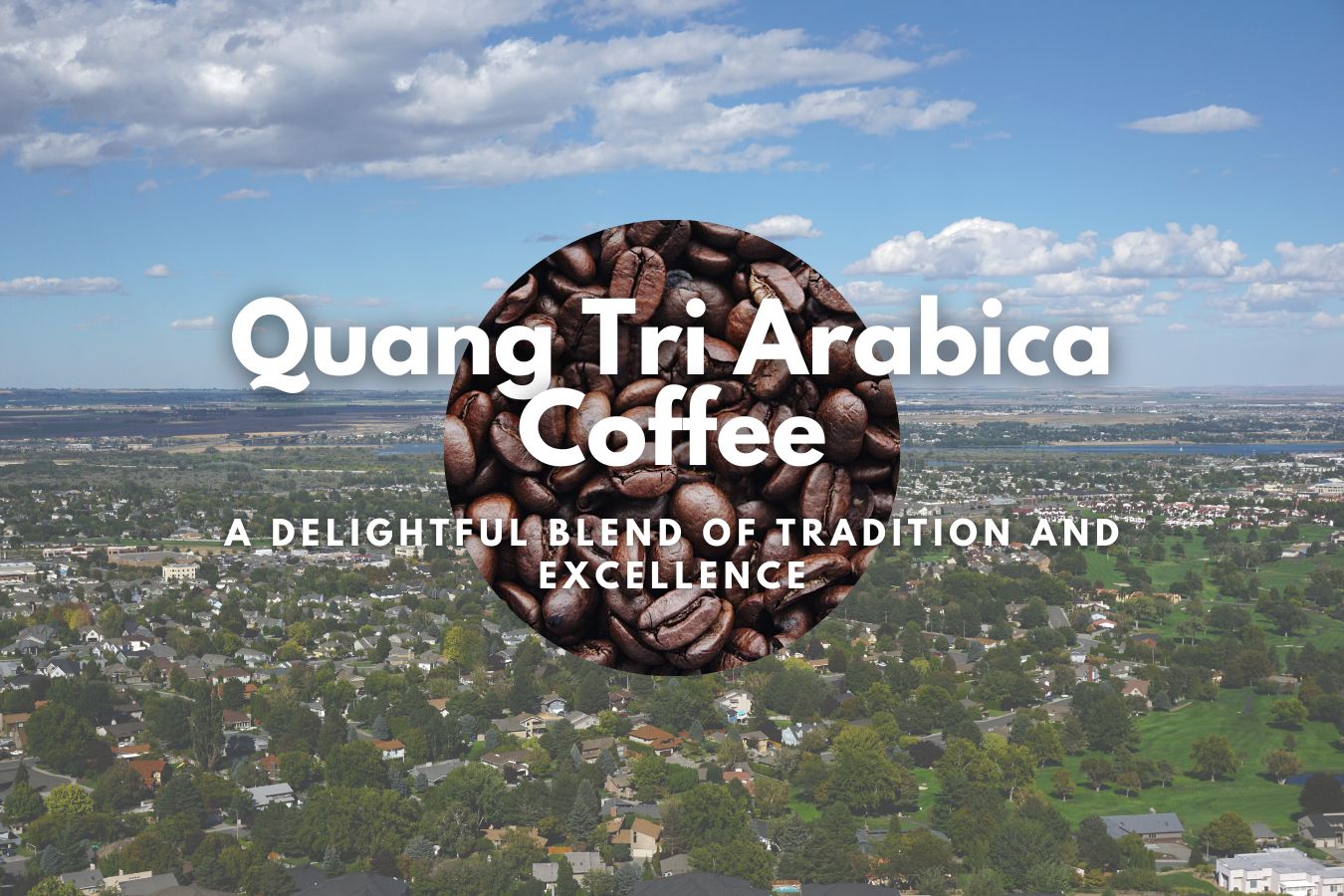 Quang Tri Arabica Coffee: A Delightful Blend of Tradition and Excellence