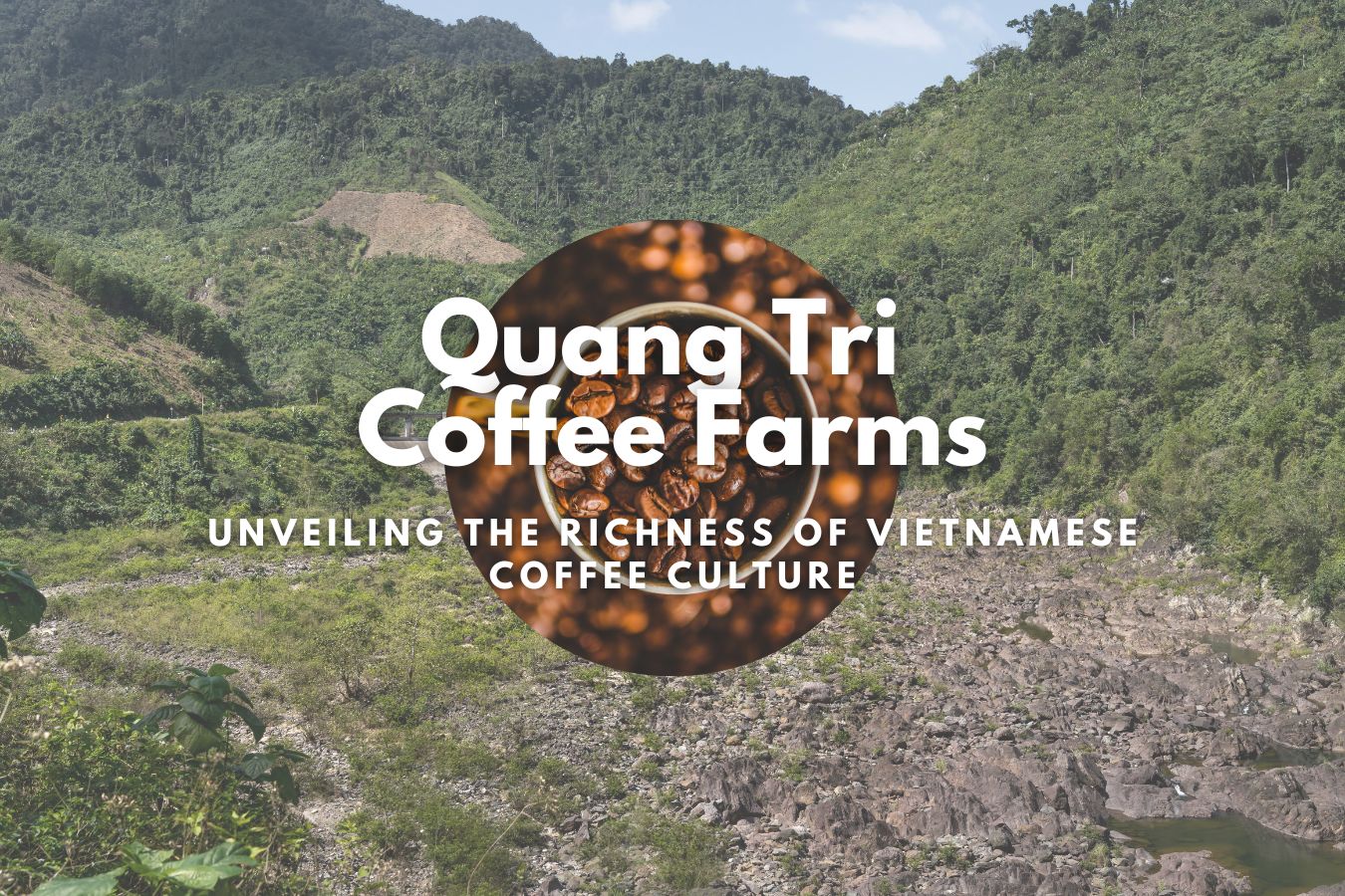 Quang Tri Coffee Farms: Unveiling the Richness of Vietnamese Coffee Culture