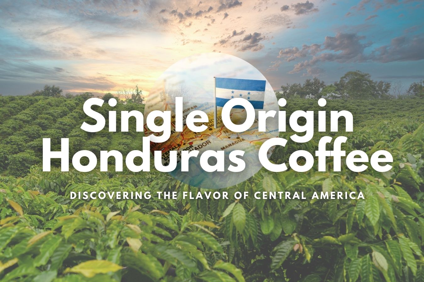 Single Origin Honduras Coffee Discovering the Flavor of Central America