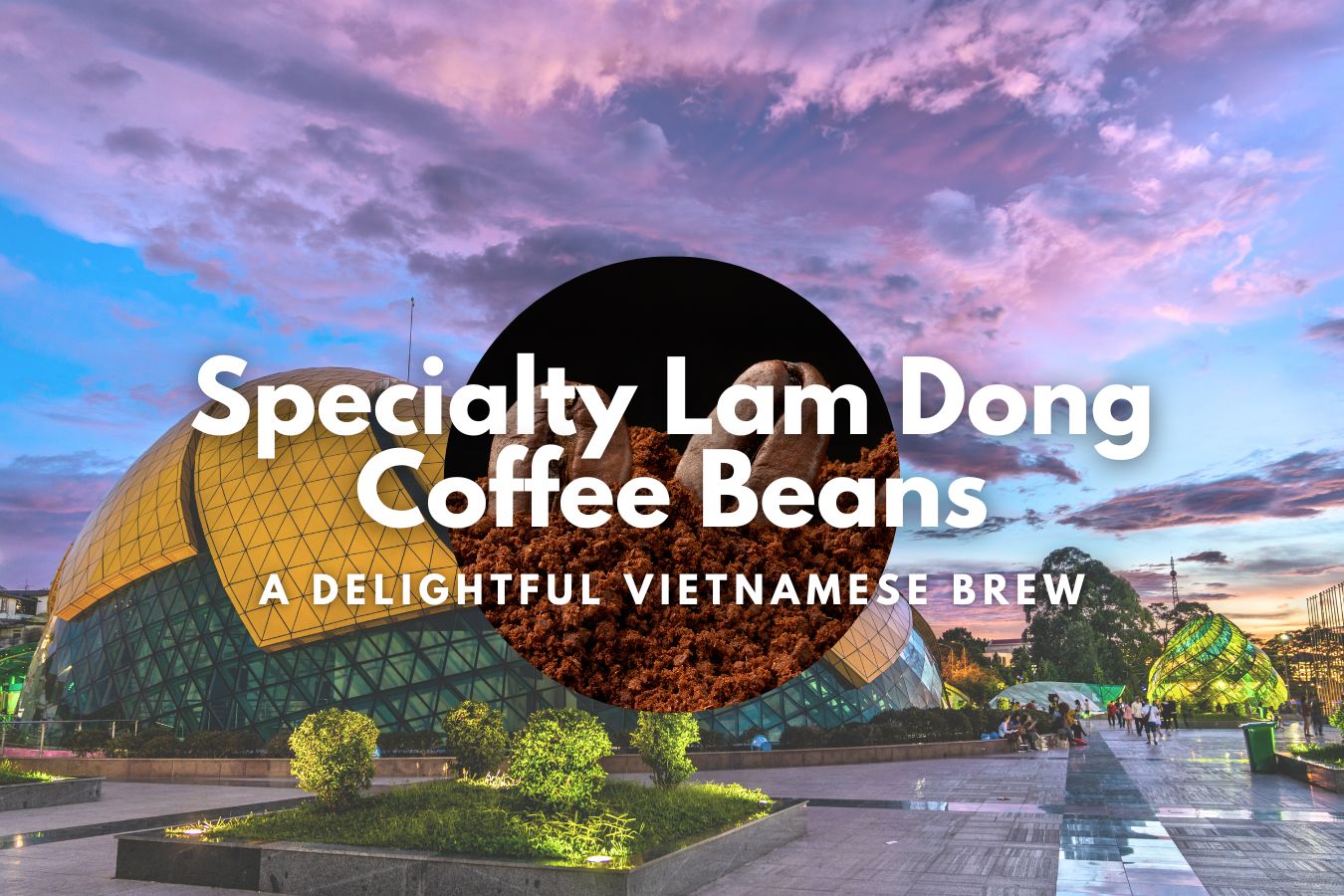 Specialty Lam Dong Coffee Beans A Delightful Vietnamese Brew