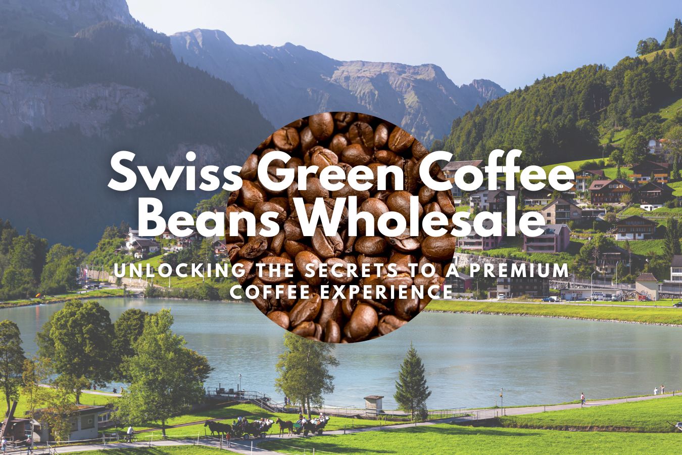 Swiss Green Coffee Beans Wholesale: Unlocking the Secrets to a Premium Coffee Experience