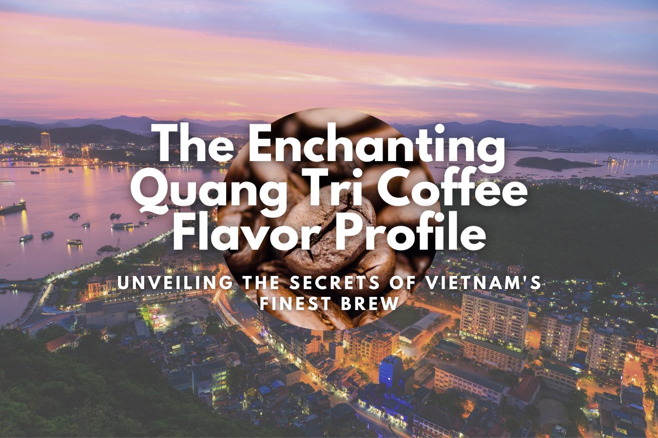 The Enchanting Quang Tri Coffee Flavor Profile: Unveiling the Secrets of Vietnam's Finest Brew