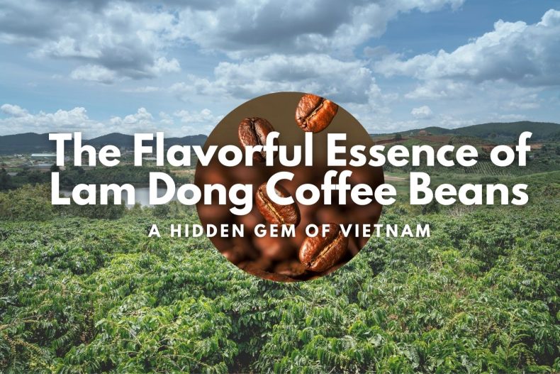 The Flavorful Essence of Lam Dong Coffee Beans A Hidden Gem of Vietnam