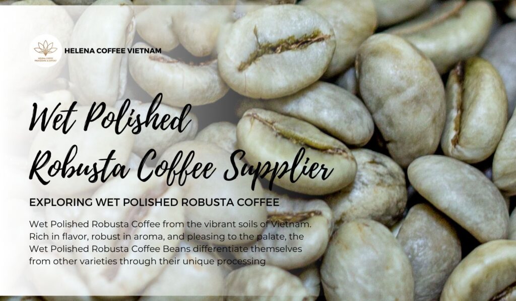 Wet Polished Robusta Coffee Supplier
