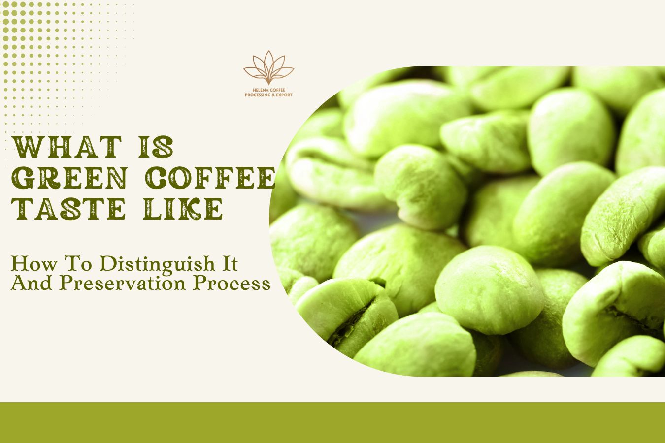 What Does Green Coffee Taste Like