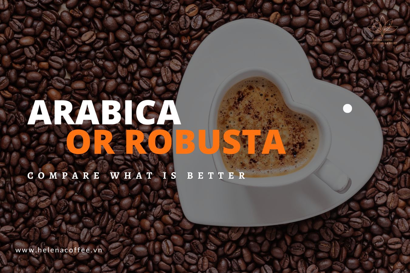 What Is Better Arabica Or Robusta 
