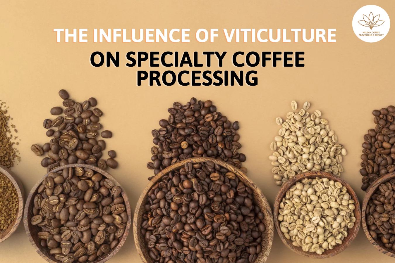 Specialty Coffee Processing