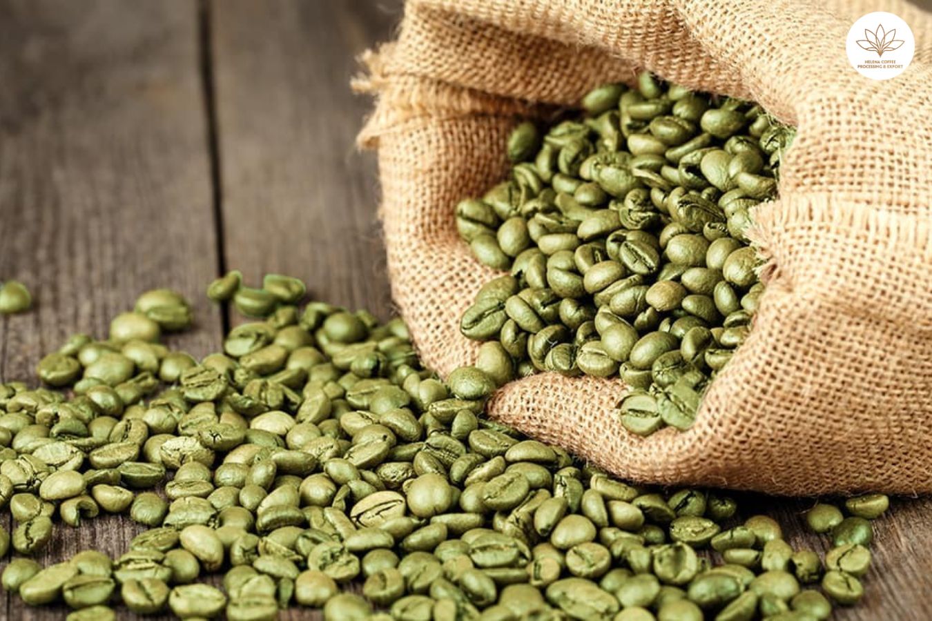 Arabica Green Coffee Beans Europe