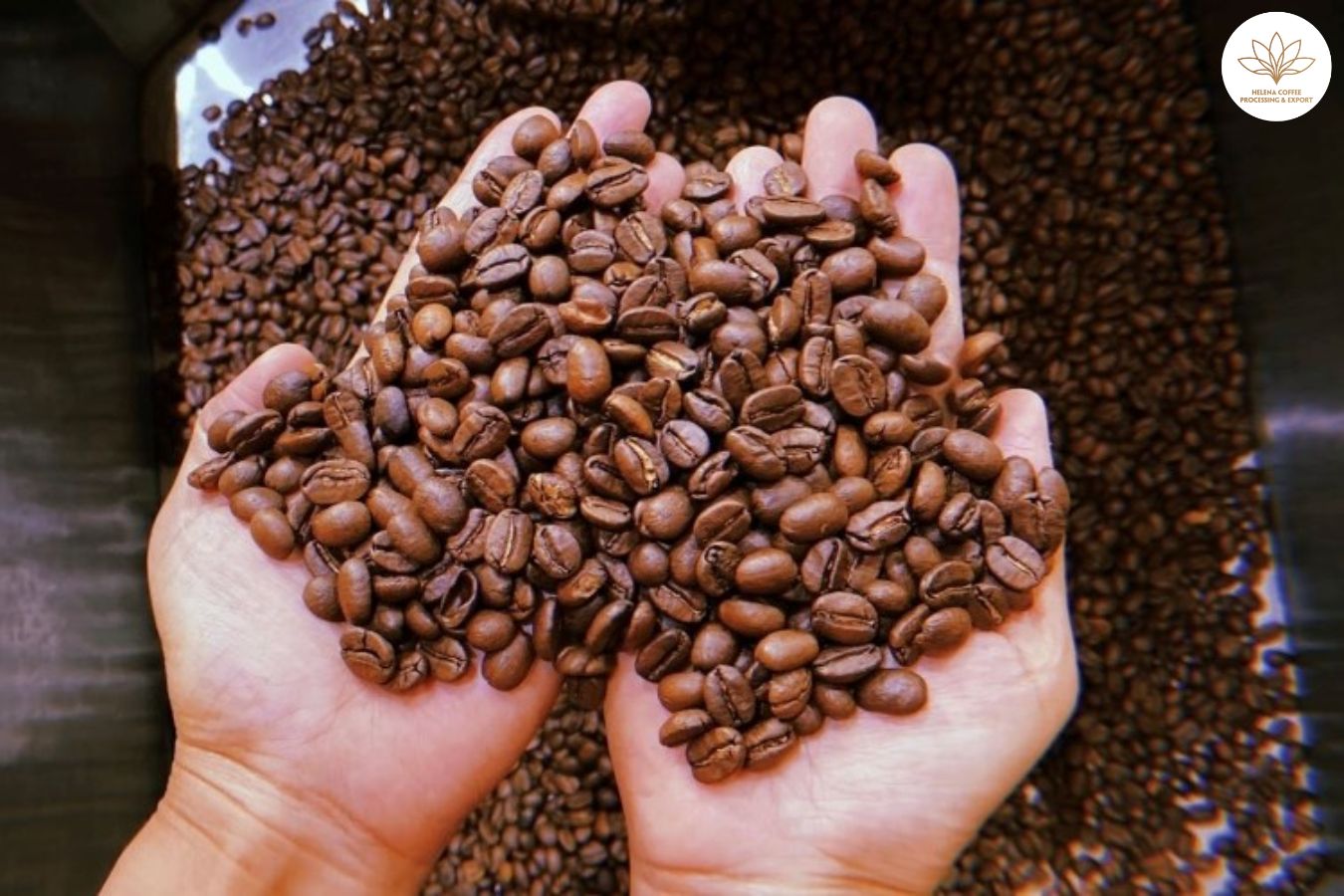 Best Coffee Beans In Europe